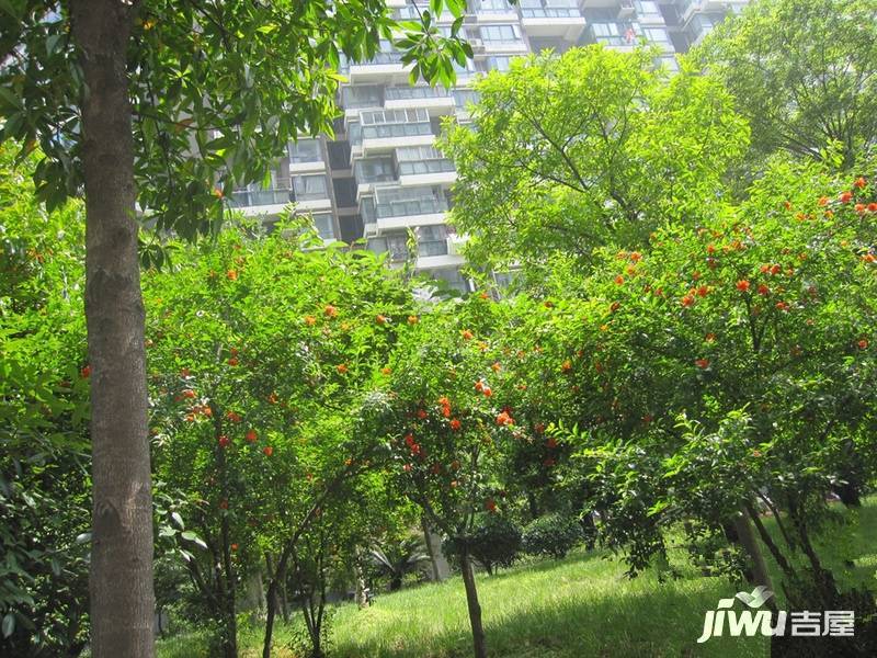 小东门凯乐花园实景图图片