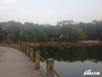 泰合百花公园二期实景图图片