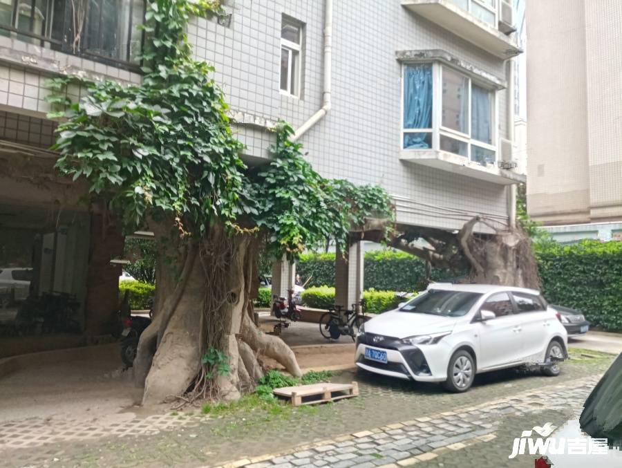 滨湖名都城三期实景图图片