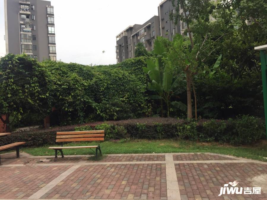 滨湖名邸实景图图片