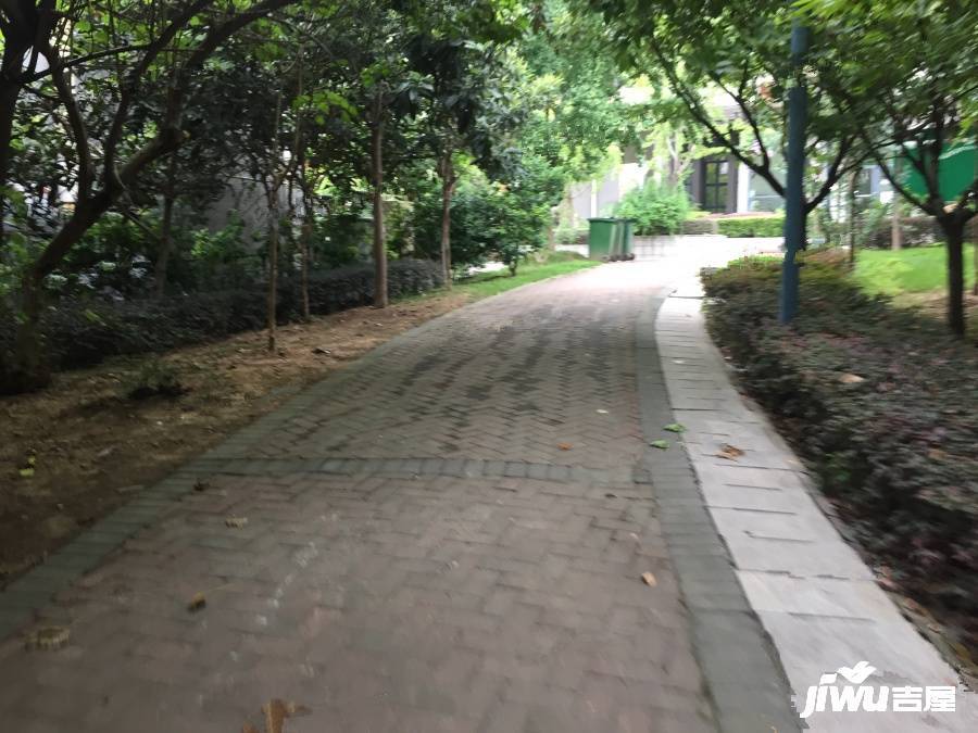 滨湖名邸实景图图片