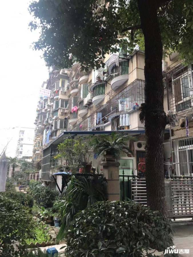 玫瑰东苑实景图图片
