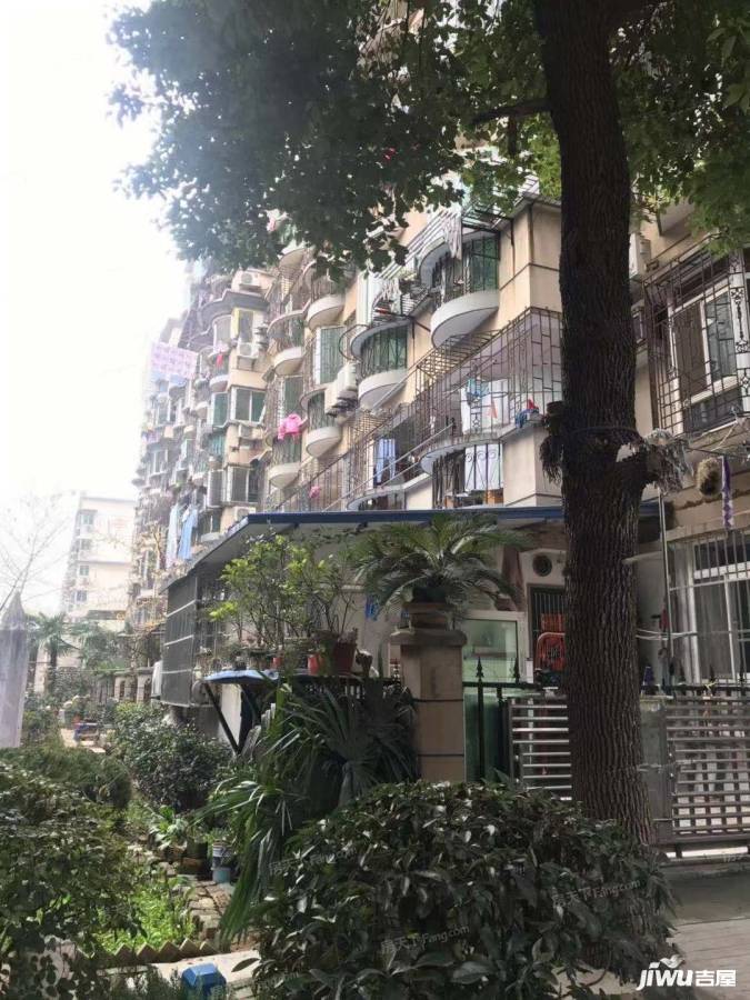 玫瑰东苑实景图图片