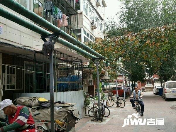 树德里实景图图片