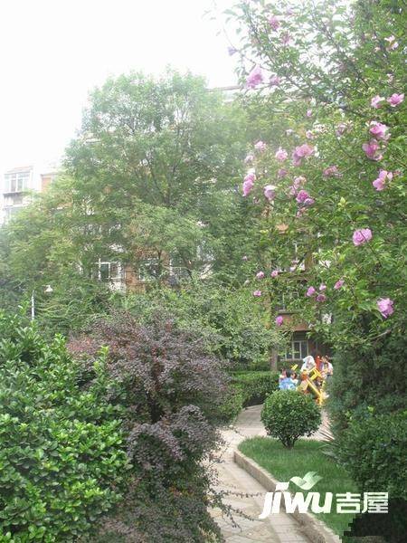 谊景村实景图图片
