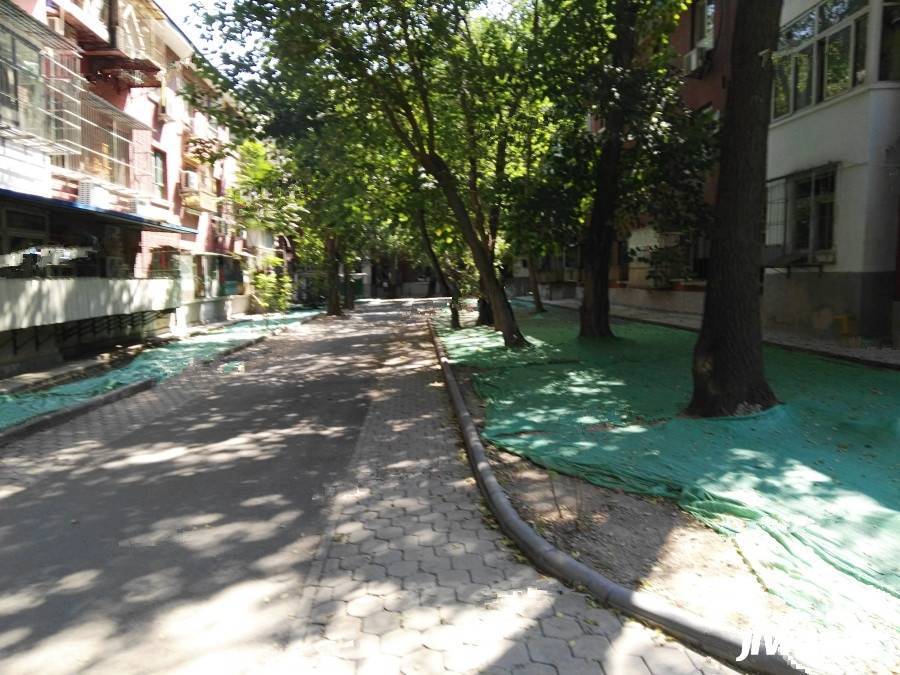 丁字沽四段实景图图片