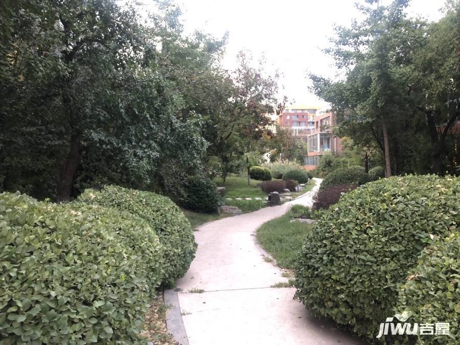 社会山花园实景图图片
