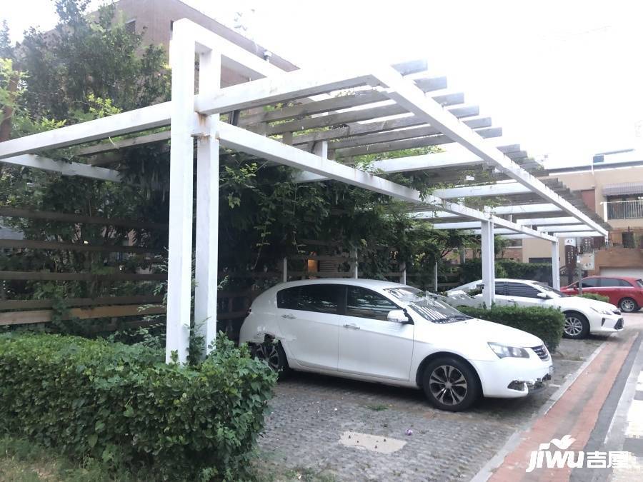 社会山花园实景图图片