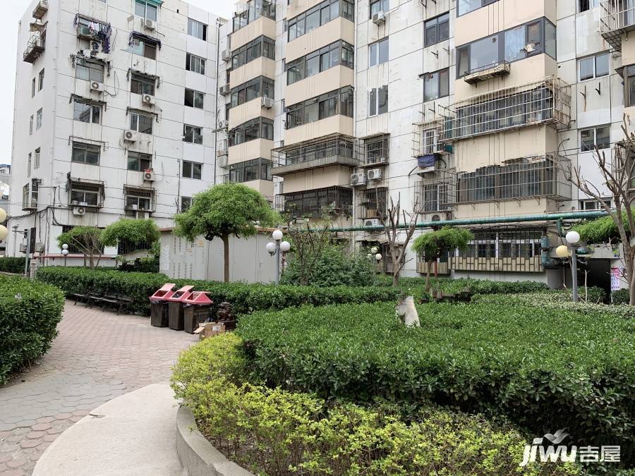 河西区康达公寓实景图图片