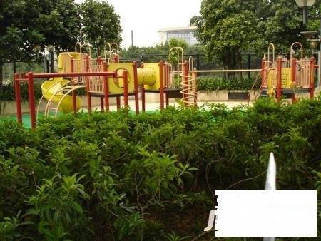 二沙岛新世界花园别墅实景图图片