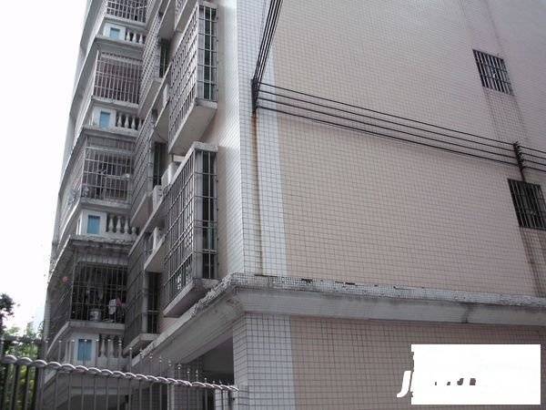 富银路农业小区实景图图片
