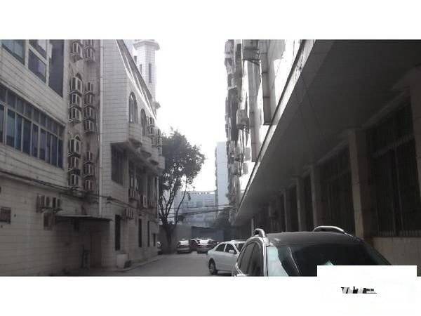 富银路农业小区实景图图片