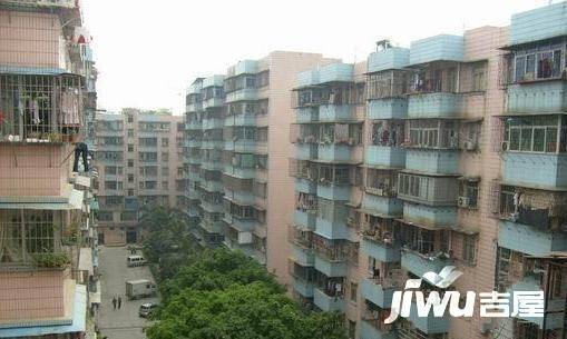 富银路农业小区实景图图片