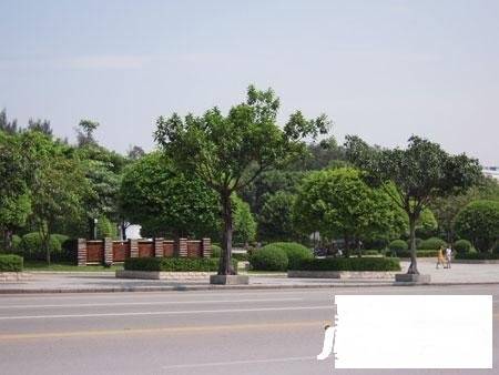 花都东成苑配套图图片