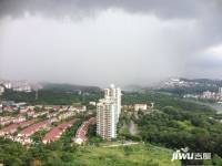 雅居乐青花南湖实景图图片