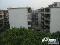 建设路小区(花都)实景图图片