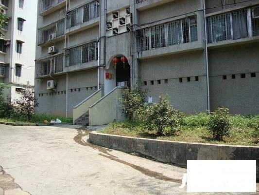 华工红棉苑实景图图片