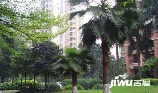 美林海岸花园碧水轩实景图图片