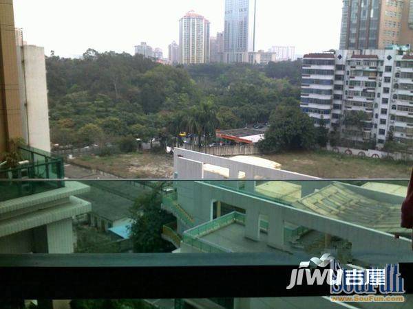 新世界东逸花园逸桦轩实景图图片