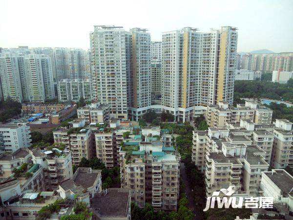新世界东逸花园逸桦轩实景图图片