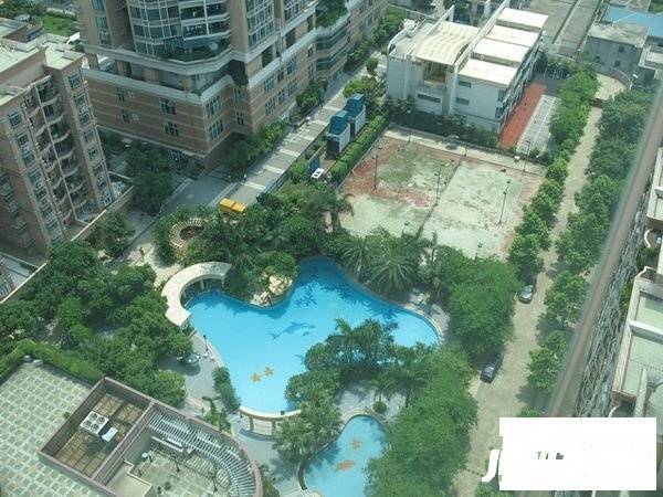 新世界东逸花园逸桦轩实景图图片