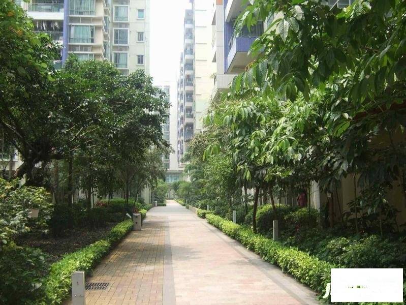 盈彩美居莆品园实景图图片
