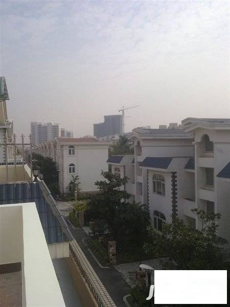 石楼榕苑实景图图片