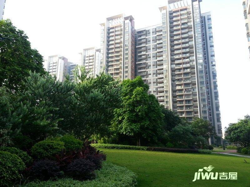 金山谷领仕实景图图片