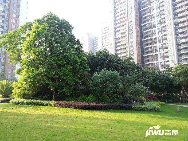 金山谷领仕实景图图片