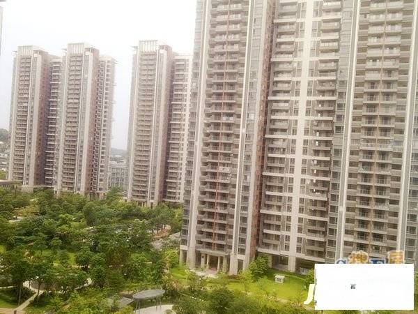 金山谷领仕实景图图片