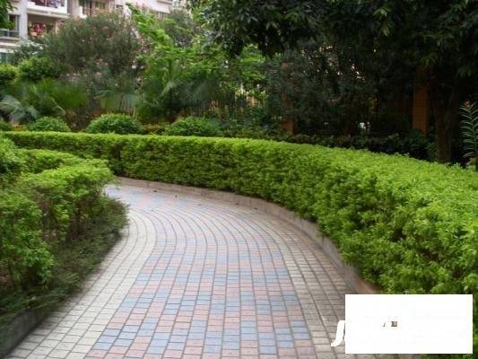 长兴路小区实景图图片