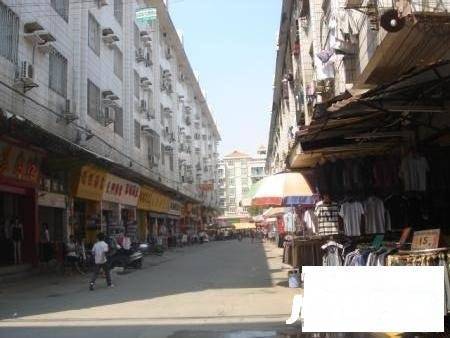 番禺安顺楼实景图图片