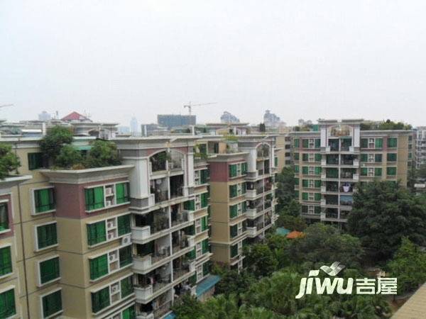 市桥南绿庭雅苑实景图图片