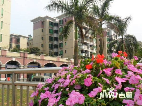 市桥南绿庭雅苑实景图图片