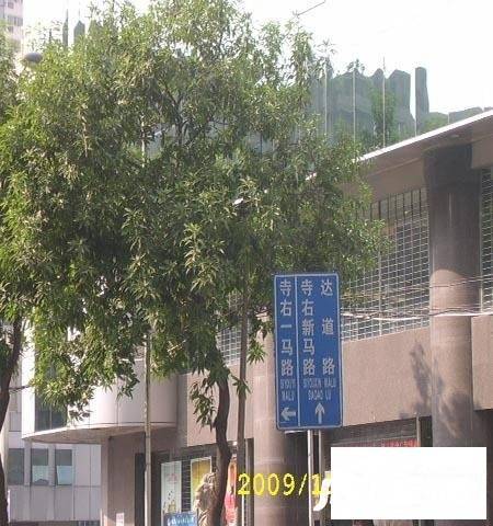 兴城大厦实景图图片