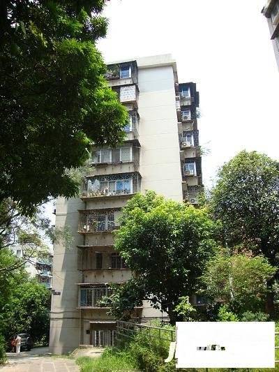 华工凤凰新村实景图图片