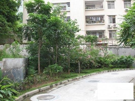 永福国际大厦实景图图片