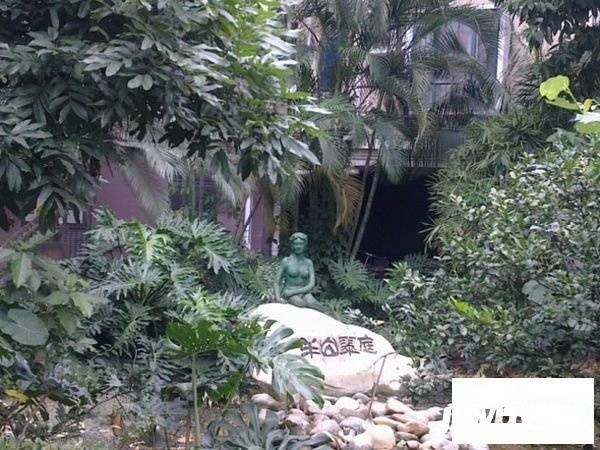 天河半山翠庭实景图图片