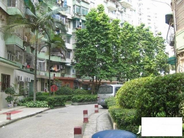 天河侨苑小区实景图图片