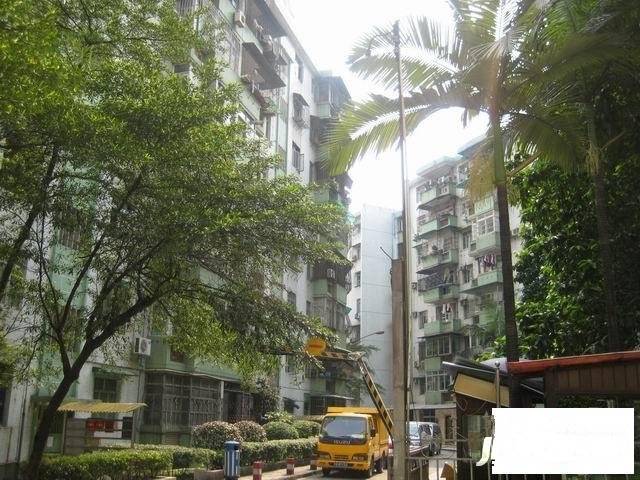 天河侨苑小区实景图图片
