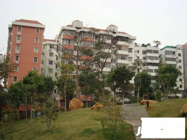瘦狗岭路小区实景图图片