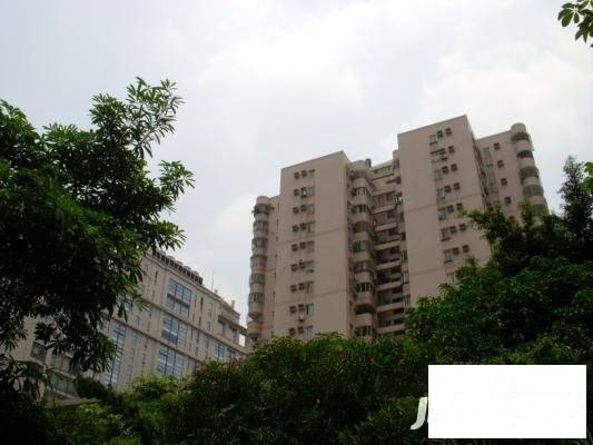 天河紫荆花园海棠阁实景图图片
