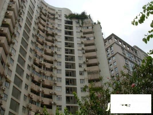 天河紫荆花园海棠阁实景图图片