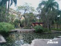二沙岛新世界棕榈园实景图图片