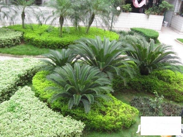 万华花园五福阁实景图图片
