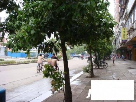 南华中路小区实景图图片