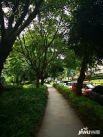 广州雅居乐花园别墅实景图图片