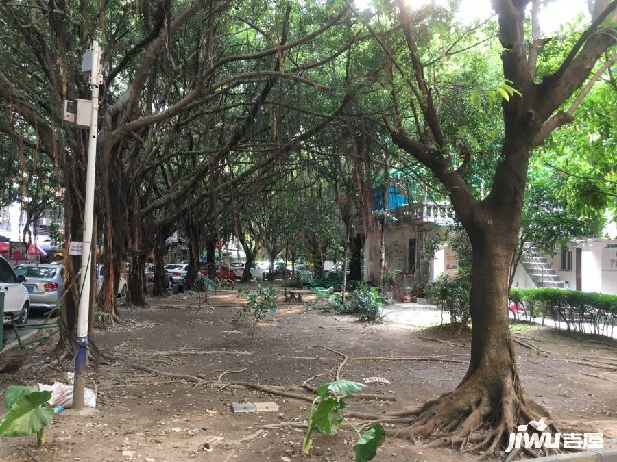 晓港湾惠侨苑实景图图片
