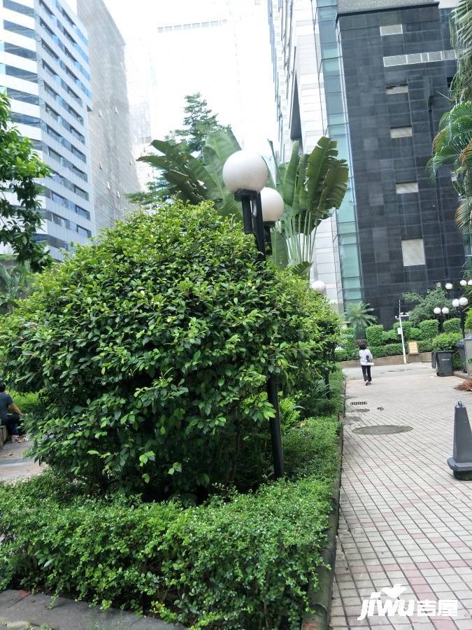 星辰大厦实景图图片
