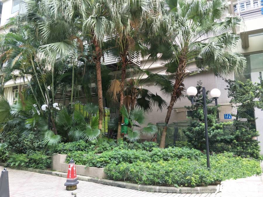 星辰大厦实景图图片